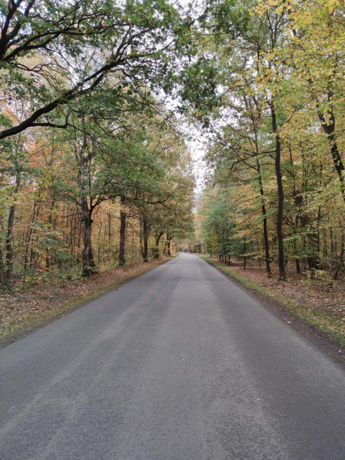 Vila Landbrise Petersfeld Exteriér fotografie