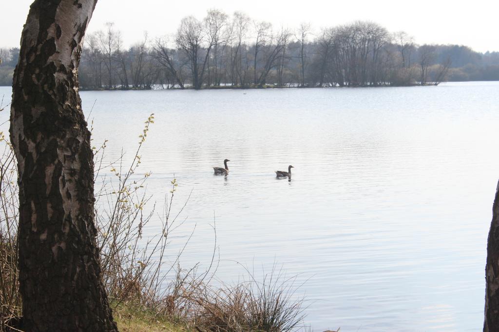 Vila Landbrise Petersfeld Exteriér fotografie